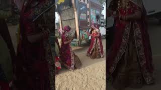 shekhawati dance  shekhawati short video [upl. by Yarrum]