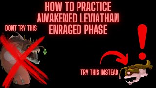 How to practice Enraged Phase Awakened Leviathan [upl. by Zetra863]