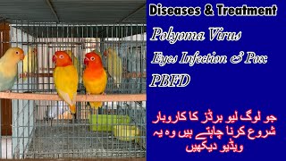 Diseases amp Treatment ll Polyoma Virus Eyes Infection amp PBFD [upl. by Brose745]