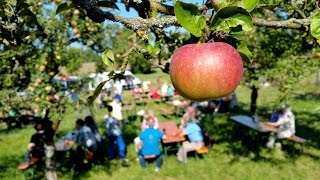 Apfelpapst klärt auf  Landschaftspflegeverband Rhön [upl. by Refennej262]