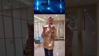 YO YO HONEY SINGH😍Grooving o song ststus whatsapp [upl. by Ferne]