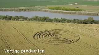 Krugovi u zitu Crop Circles Turija Srbija 2014 [upl. by Glenn]