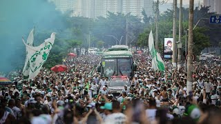 TIME DA VIRADA NOS BRAÃ‡OS DO POVO CORREDOR ALVIVERDE  PALMEIRAS X SANTOS [upl. by Alby]