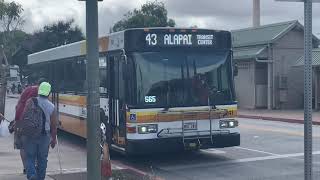 Honolulu Bus 241 Route 43 [upl. by Anilram]