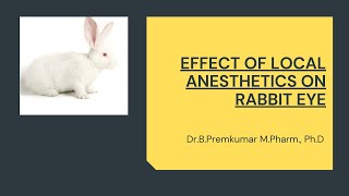 Effect of Local anesthetics on Rabbit eye [upl. by Crenshaw]