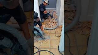 DustFree Saltillo Tile Removal [upl. by Primo]