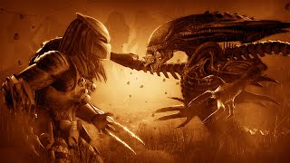 Predator Vs Predalien Final Boss Fight  Aliens Vs Predator Xbox 360 [upl. by Ause291]