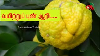 What are the uses of Citron fruit  Narthangai benefits in Tamil [upl. by Ttam]