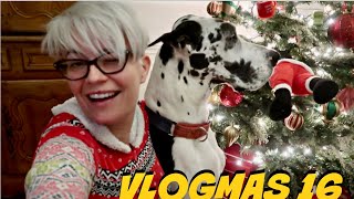 VLOGMAS 16 MUSZĘ TO ODWOŁAĆ A MAREK JEDZIE PO PREZENT DO MIAMI🎁🌴🇺🇸 [upl. by Guendolen]