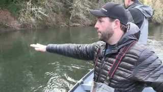 Olympic Peninsula Steelhead [upl. by Croteau]