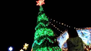 Busch Gardens Christmas Town 50ft Christmas Tree Light Show [upl. by Bailie]