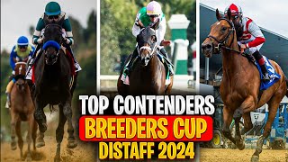 Can Anyone Beat Thorpedo Anna  Top Contenders 2024 Breeders Cup Distaff [upl. by Ayeka]