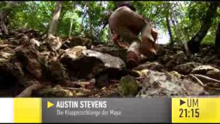 TVTipp am Mittwoch Austin Stevens  Die Klapperschlange der Maya [upl. by Griffy]