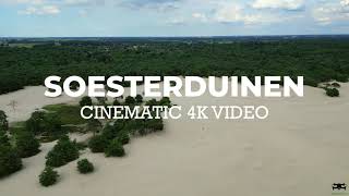 Soesterduinen Dunes  Soest  Netherlands  Cinematic 4K video [upl. by Kessia261]