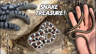 CRAZY Rock Flipping for Beautiful Snakes on the Kansas Prairie [upl. by Meek892]