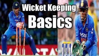 Best Drill for Wicket keepers  How to improve Wicket keeping Skills [upl. by Eidde]