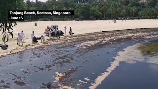 Singapore’s Sentosa Island Beaches Impacted By Oil Spill [upl. by Shea]