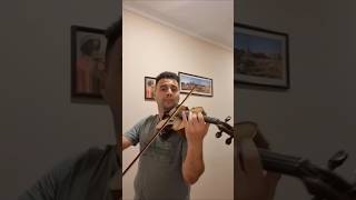 Kreisler  Liebesleid violin classic shorts [upl. by Gussie]