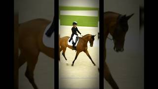 Equestrian Dressage Olympics 2024 In Star Stable😱  Sso Short  Sso Edit sso equestrian horse [upl. by Lief]