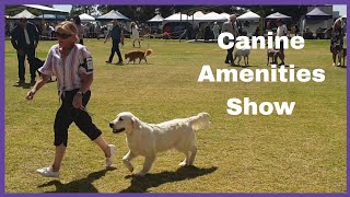 2023 Canine Amenities Show  Gundogs Best In Group [upl. by Yaffit]