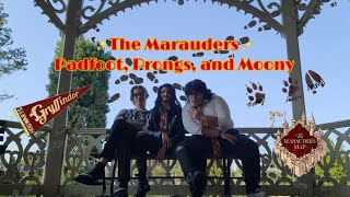 The Marauders  Prongs third wheels Padfoot and Moony  Cosplay in public [upl. by Ailekat]