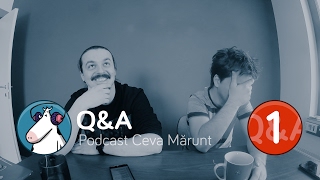 QampA 1  Podcast Ceva Mărunt [upl. by Levi]