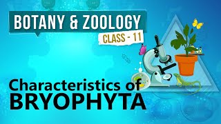 Characteristics of Bryophyta  Kingdom Plantae  Biology Class 11 [upl. by Alphonsa]