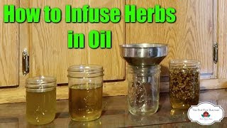 How to Make Herb Infused Oils and My Favorite Herbal Resources [upl. by Yniar]