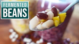 FERMENTED BEANS amp LENTILS  delicious probiotic beans with a zing [upl. by Enelyk747]