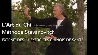 LArt du Chi Les 11 exercices par Vlady Stévanovitch Qi Gong [upl. by Odlavu]