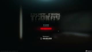 Tarkov  It just works [upl. by Palila]