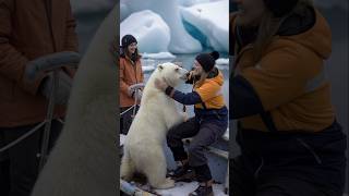 Polar Bears Heartwarming Rescue polarbearrescue wildlifeconservation arcticanimals [upl. by Ogata425]