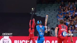 The best wickets of the BBL07 finals [upl. by Hedi]