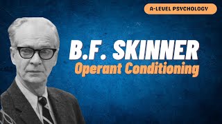 Behaviourist Approach  BF Skinner  Operant Conditioning  AQA Psychology [upl. by Asiat93]