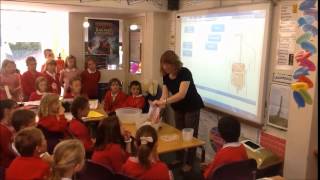 Lilleshall Primary School  Science Presentation [upl. by Aihsemaj]