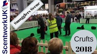 Scentwork UK display at Crufts 2018 [upl. by Nesyt589]