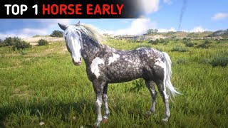 Proper Way To Get The Best amp Fastest Missouri Fox Trotter Horse Early  RDR2 [upl. by Leak]