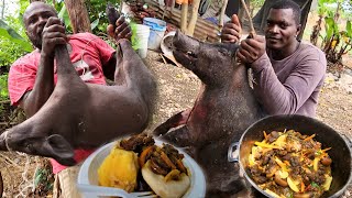 the most terrifying wild boar attack catch clean and cook brown stew curry [upl. by Eentroc]