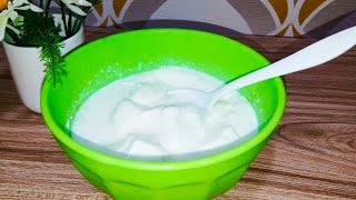 How to make homemade yogurt  curd dahi making [upl. by Nnyl]