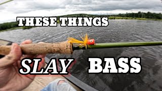 POPPER FLY Fishing Catches TONS of BASS [upl. by Curhan]