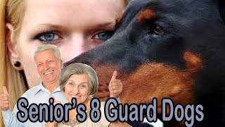 8 Best Guard Dogs for Seniors  Conclusion [upl. by Nosnor]