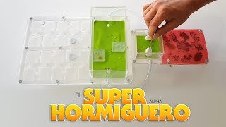 EL SUPER HORMIGUERO  Ampliando el hormiguero [upl. by Hayott]