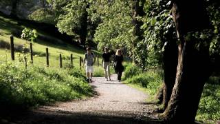 Video Of Grasmere Lake District Cumbria [upl. by Goerke]