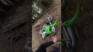 KLX 110 VS HUGE LOG Pitbike [upl. by Dnalwor473]