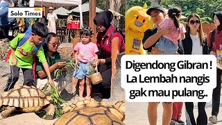 Jan Ethes amp La Lembah jenguk kurakura Sulcata di Solo Safari [upl. by Eolc]