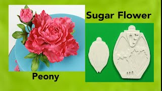 Edible Sugar Flower The Classic Peony [upl. by Weingarten]