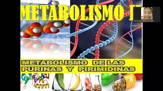 CLASE 3 DE METABOLISMO2 met de purinas y pirimidinas [upl. by Siari]