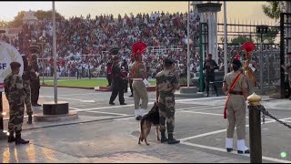 AttariWagah Border Beating Retreat Crowd Gathers To Witness Ceremony Ahead Of Independence Day [upl. by Grayson]