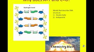 BIOL 230  Module 11  Video 2 of 4 [upl. by Woermer716]