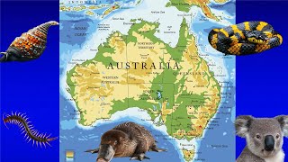 Animais Perigosos da Austrália P2 [upl. by Anilef599]